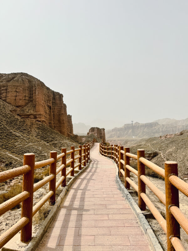 Kalimari Desert, Linze - Image 7